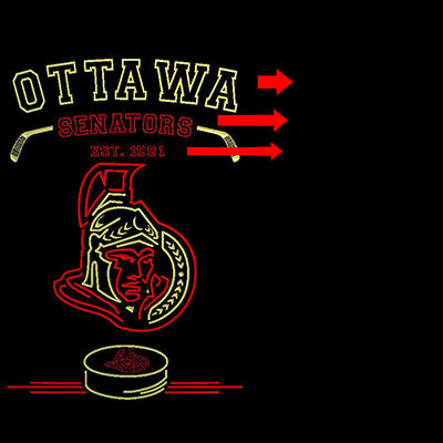 Custom Ottawa Senators Est. 1991 custom sign pro led sign