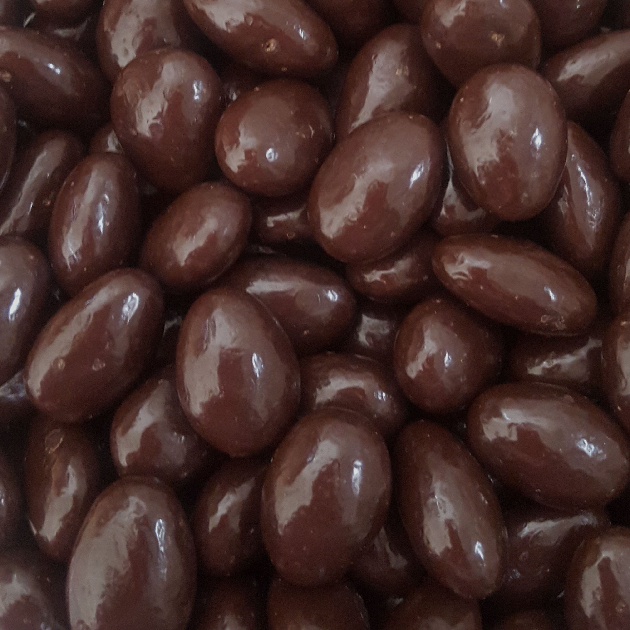 Dark Chocolate Covered Almonds - 16oz