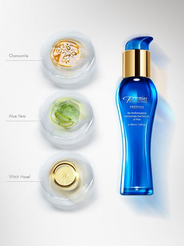 premier-deadsea