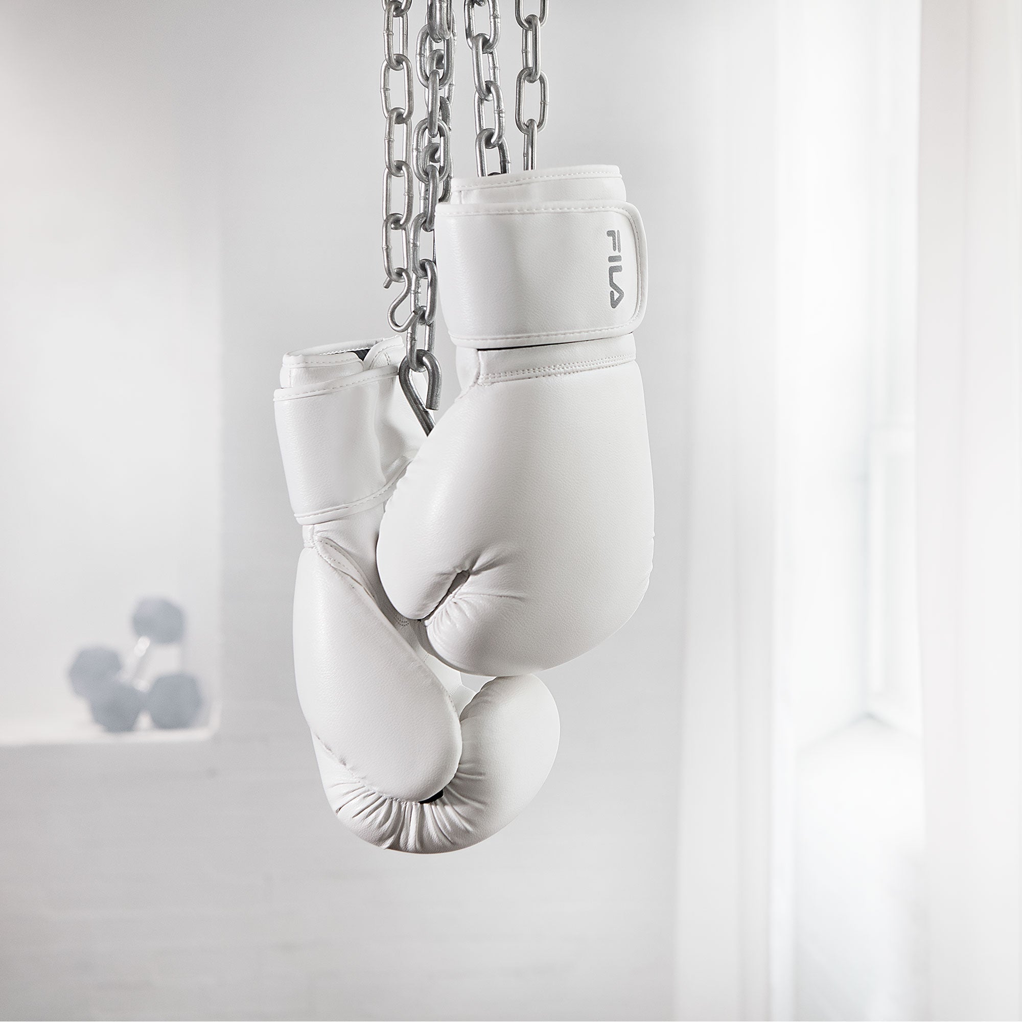 Boxing Gloves (10oz)