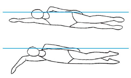 Attention Your Shoulder Posture -freestyle swimming - upopby learn