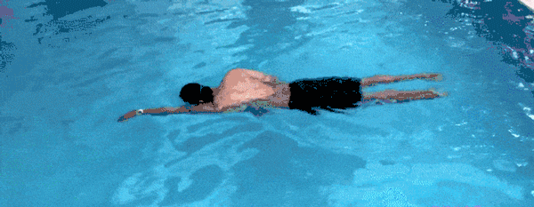 leg techniques freestyle swimming - upopby learn