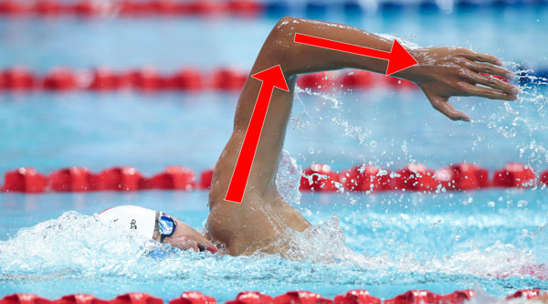 Pay Attention To Elbow Posture freestyle swimming - upopby learn