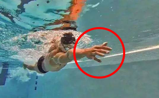 Pay Attention To The Palms - upopby learn