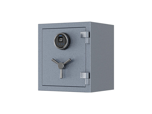 Grey Large Fireproof Safe with Fingerprint Sensor, Biometric Home Safe,  2.12 Cubic Feet, RPNB RPFS66G