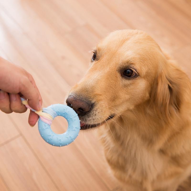 Donut Shaped Bite-Resistance Dog Toy With Rope