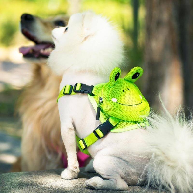 Backpack Harness Set