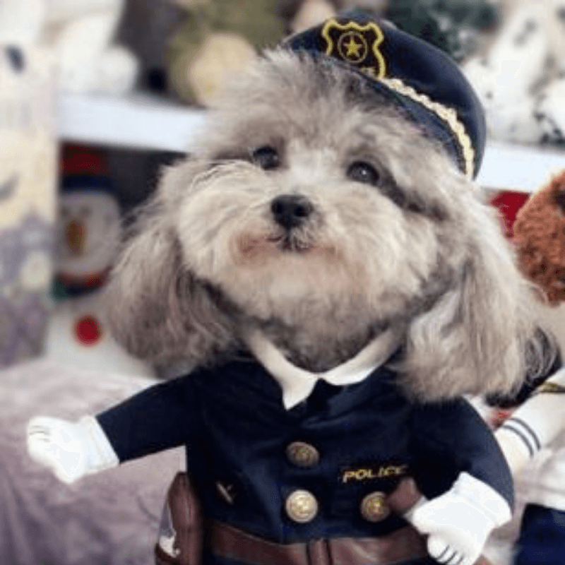 Navy Police -  Pet Halloween Costume