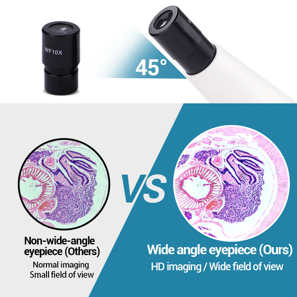 Wide-angle eyepieces, 45 observation angle