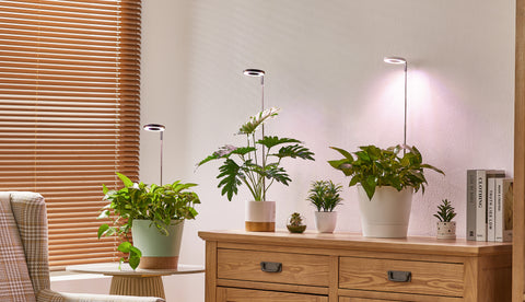 yadoker grow light