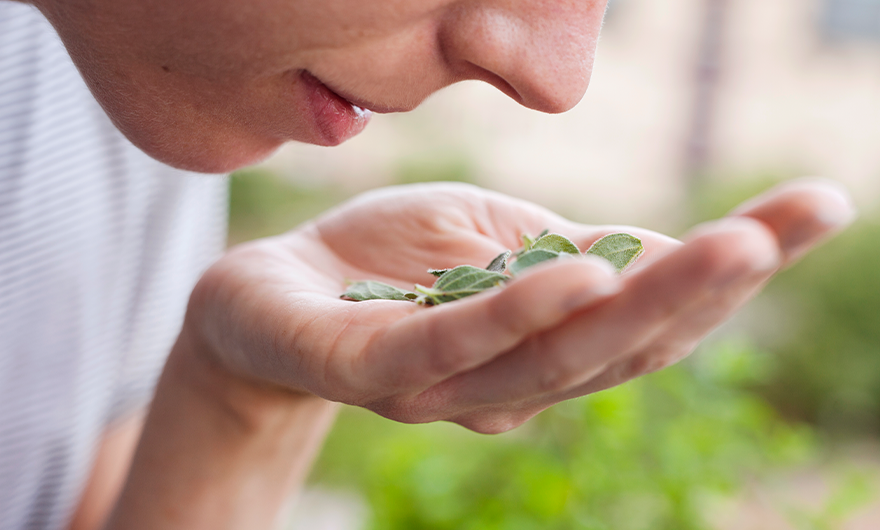 Woman smelling leaves in her hand