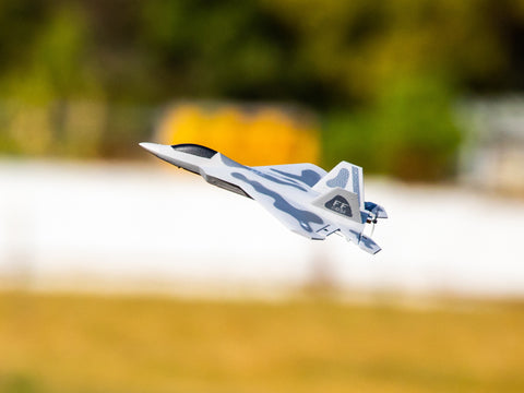 exhobby F-22 rc airplane