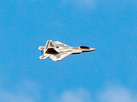 exhobby F-22 rc airplane