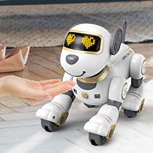 STEMTRON Remote Control Robot Dog Toy Programmable Interactive & Dancing (Gold)