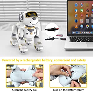 STEMTRON Remote Control Robot Dog Toy Programmable Interactive & Dancing (Gold)