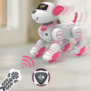 Programmable Remote Control Robot Dog Toy- EXHOBBY