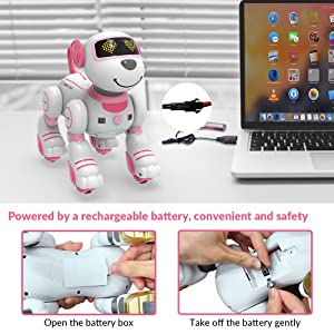 STEMTRON Programmable Interactive & Smart Dancing Remote Control Robot Dog Toy(Pink)