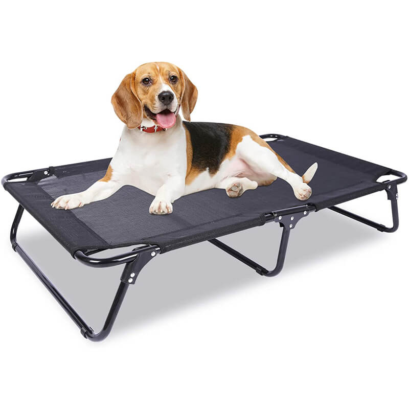 elevated sling dog bed