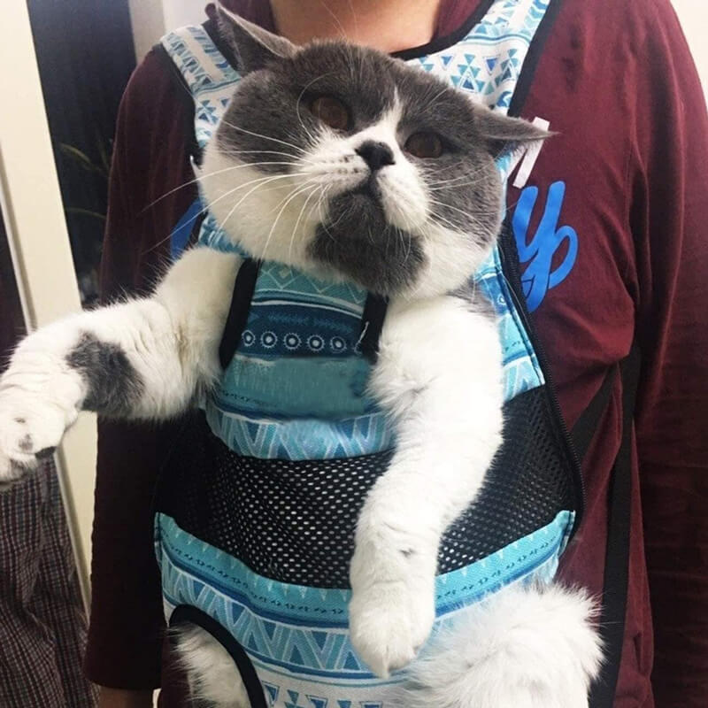 cat chest carrier