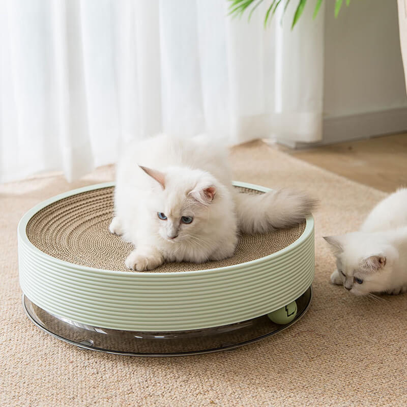 round cat scratching post