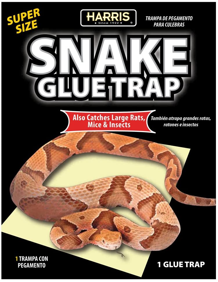 Harris Snake Glue Trap