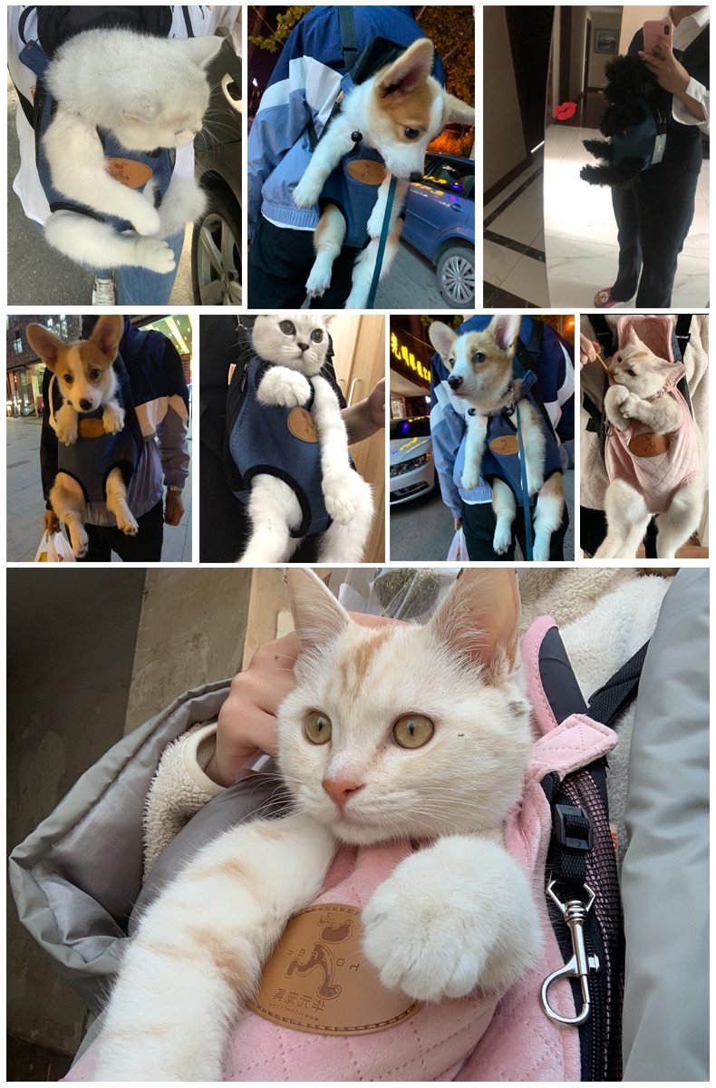 Pet Cat Carrier Fashion Travel Bag