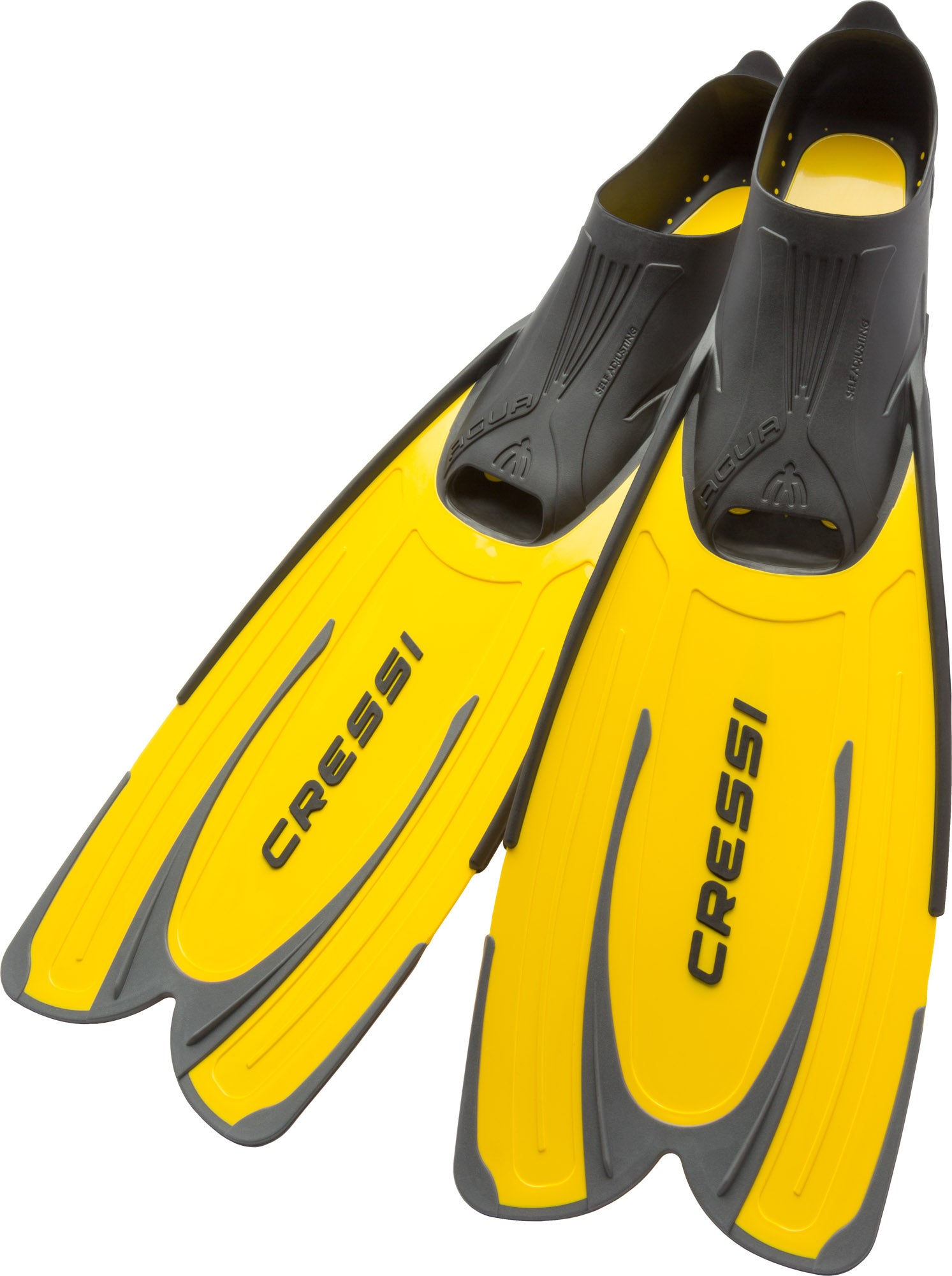 Cressi Adult High-End Scuba Snorkeling Gear | Agua & Perla & Tao Dry