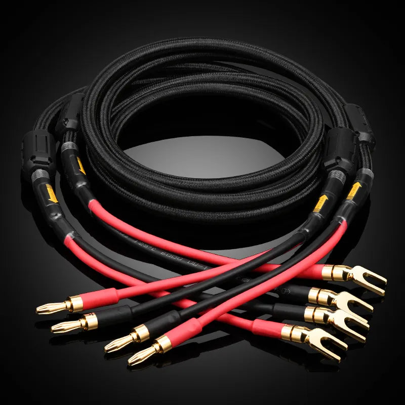 A pair HIFI speaker cable pure copper with silver-plated nerve cable main speaker surround sound connection dedicated cable