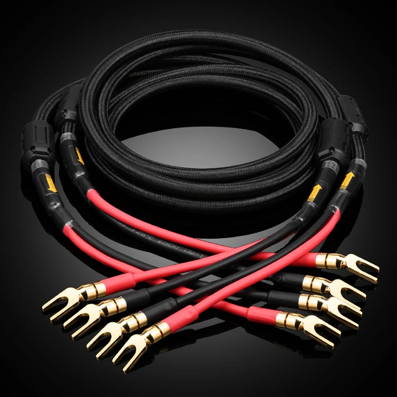 A pair HIFI speaker cable pure copper with silver-plated nerve cable main speaker surround sound connection dedicated cable