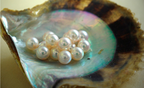 what are akoya pearls