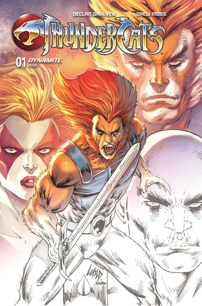 Thundercats (2024) #1 Variant (2nd Print) Cover A Liefeld