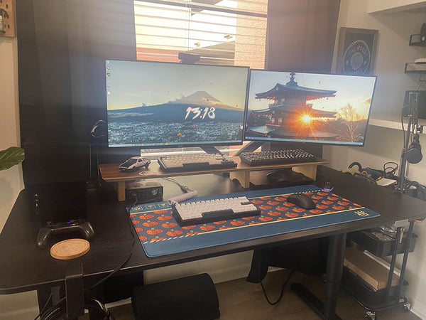 Aothia Large Dual Monitor Stand Riser