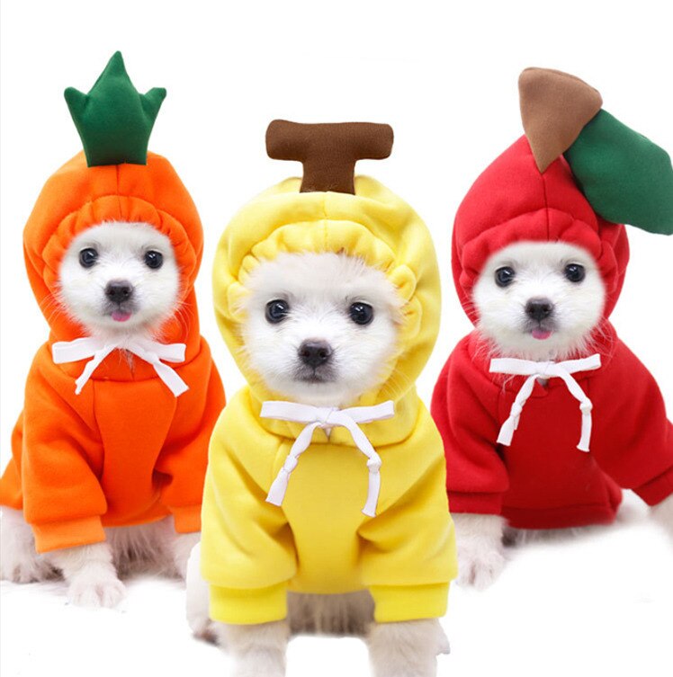 New Dog Winter Warm Clothes Cute Plush Coat Hoodies for bulldog Pet Costume Jacket Small Dog Clothing Cute Fruit Clothes For Dog