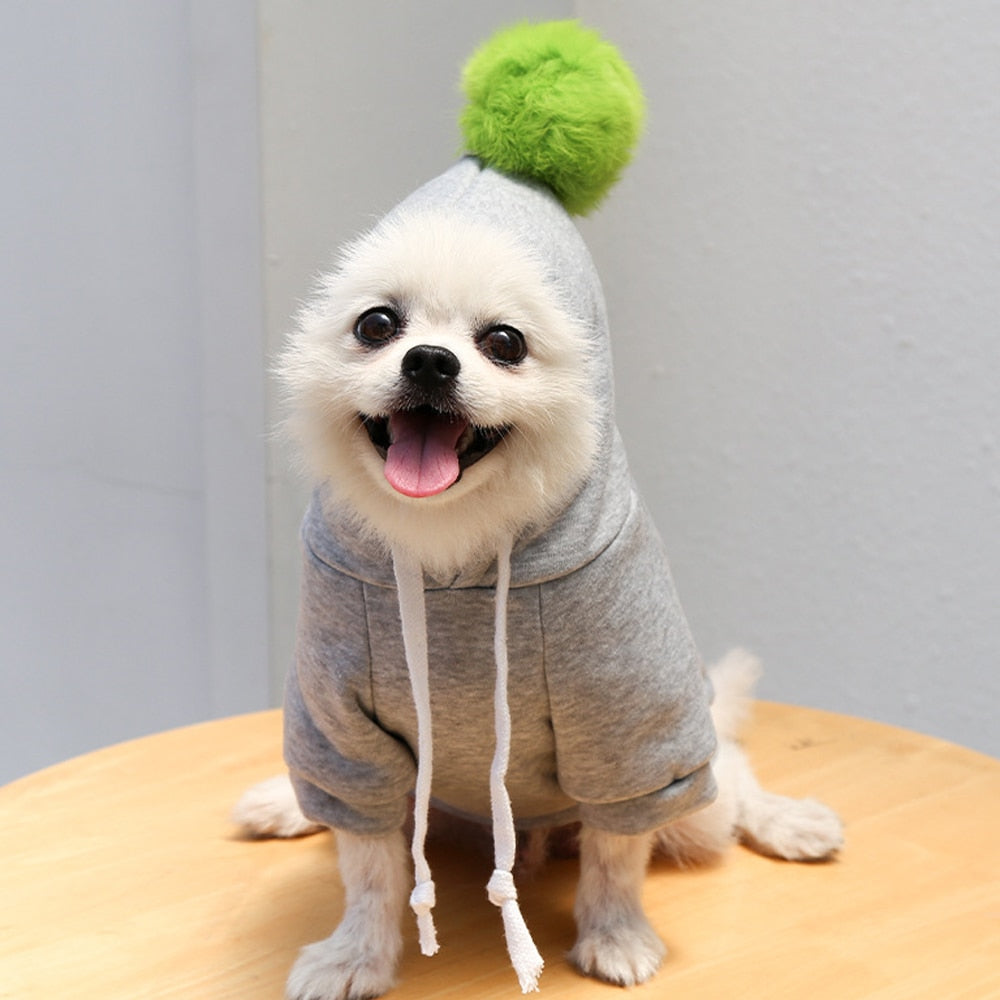 New Dog Winter Warm Clothes Cute Plush Coat Hoodies for bulldog Pet Costume Jacket Small Dog Clothing Cute Fruit Clothes For Dog