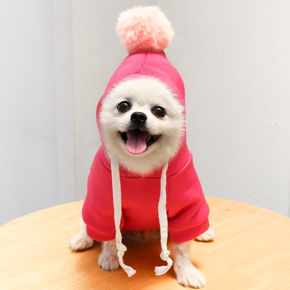 New Dog Winter Warm Clothes Cute Plush Coat Hoodies for bulldog Pet Costume Jacket Small Dog Clothing Cute Fruit Clothes For Dog