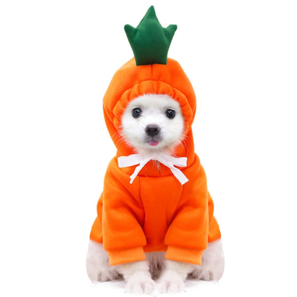 New Dog Winter Warm Clothes Cute Plush Coat Hoodies for bulldog Pet Costume Jacket Small Dog Clothing Cute Fruit Clothes For Dog