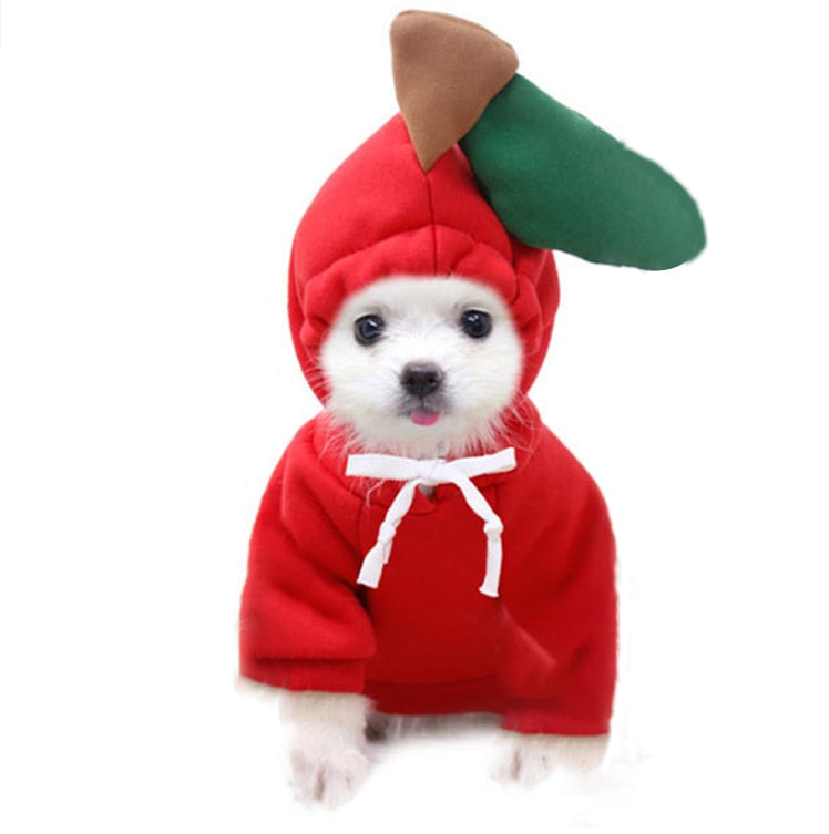 New Dog Winter Warm Clothes Cute Plush Coat Hoodies for bulldog Pet Costume Jacket Small Dog Clothing Cute Fruit Clothes For Dog