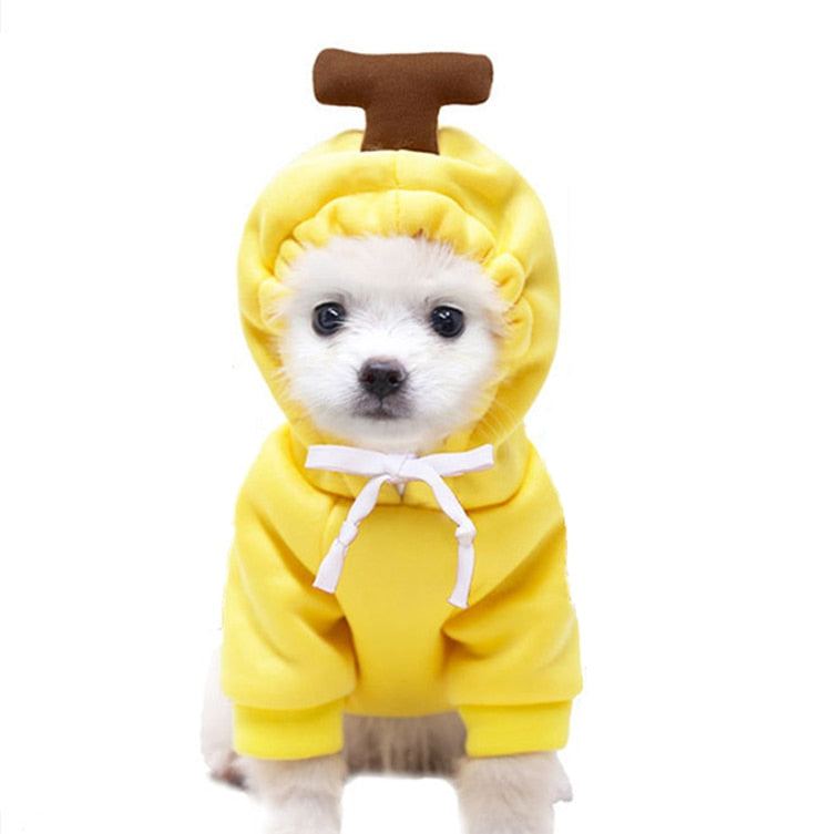 New Dog Winter Warm Clothes Cute Plush Coat Hoodies for bulldog Pet Costume Jacket Small Dog Clothing Cute Fruit Clothes For Dog