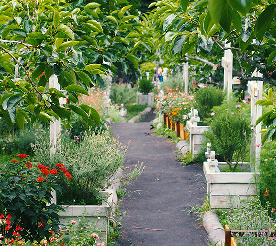 Western classical gardens have a symmetrical and tidy pattern in the layout of the gardens, showing the way people transform and control nature, and fully reflect the power of people