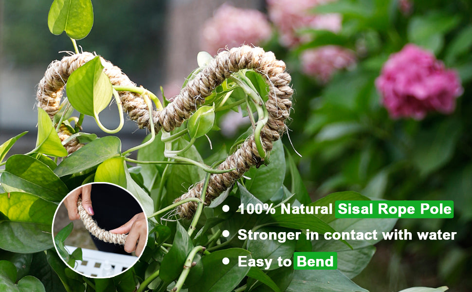 Worth Bendable Moss Pole for Indoor Climbing Plants support to Grow