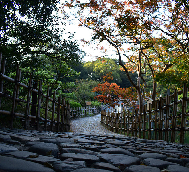 walking or hiking on a nature trail is the easiest way to link to the natural environment. It's accessible to everyone and free. Gardening is also an important link, especially in urban areas