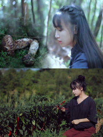 liziqi