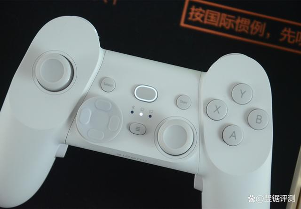 Fabrikant Gewoon overlopen skelet Xiaomi GamePad Elite Edition Controller Review – minixpc