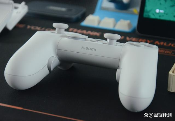 Fabrikant Gewoon overlopen skelet Xiaomi GamePad Elite Edition Controller Review – minixpc