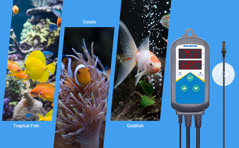 Controller Takes Action