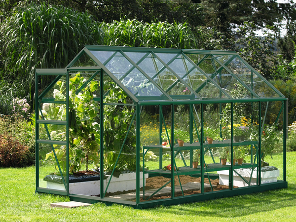 Glass Greenhouse