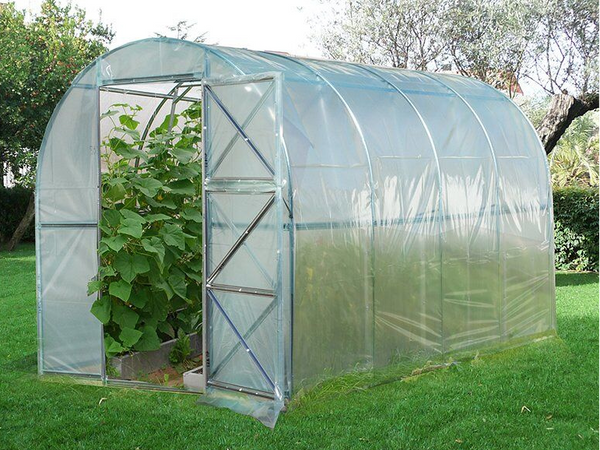 Plastic Greenhouse