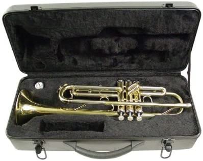 Hisonic Signature Series 2110L Bb Trumpet with Case, Brass Finish