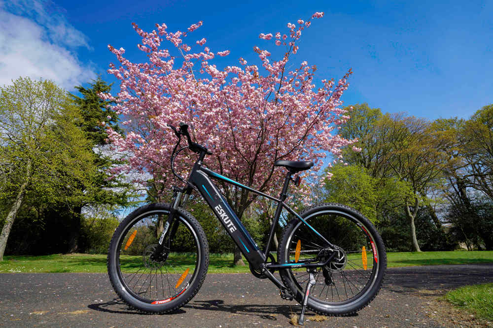Elektrofahrrad unter Baum mit Kirschblüte