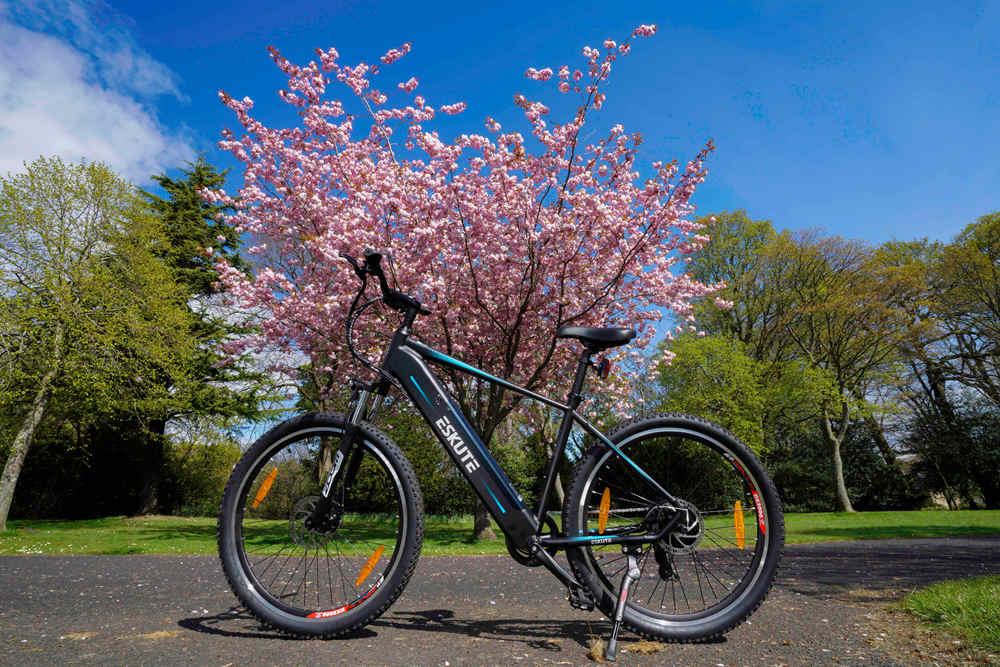 Elektrische fiets onder boom met kersenbloesem